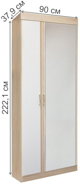 Шкаф двухдверный Ника Н1 дуб сонома / белый