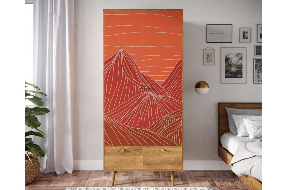 Шкаф Бербер (Berber) BB16/Print_49 разноцветный