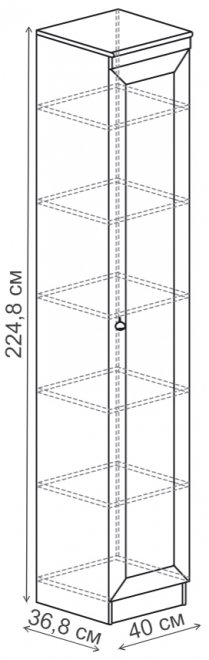 Шкаф Инна 601 денвер темный