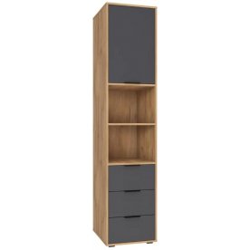 Шкаф Оптима ОП-03 дуб крафт золотой / графит