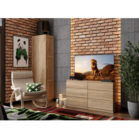 Шкаф Пегас 1