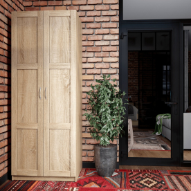 Шкаф Пегас 2