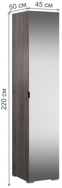 Шкаф Теана с зеркалом ясень анкор темный