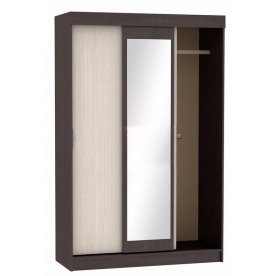 Шкаф-купе Бася