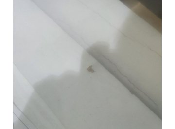 Письменный стол Эго Ст-1