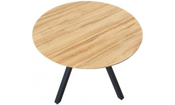 Деревянный стол DT-938