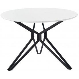 Деревянный стол DT-62 110