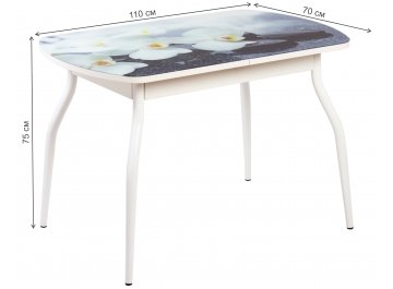 Деревянный стол Элла