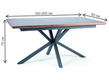 Деревянный стол Logan 160-200/90/75