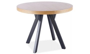 Деревянный стол Domingo 100-250/100/76