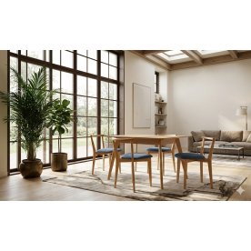 Обеденная группа Сканди Франк 120