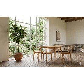 Обеденная группа Сканди Франк 120