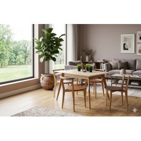 Обеденная группа Сканди Франк 120
