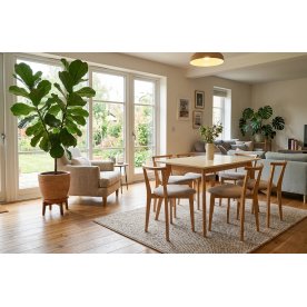 Обеденная группа Сканди Франк 120