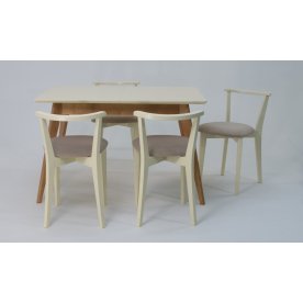 Обеденная группа Сканди Франк 120