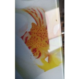 Стеклянный стол Танго