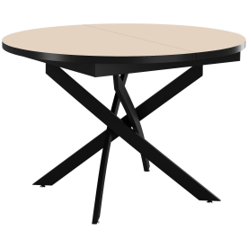 Стеклянный стол DikLine RDBS110Х