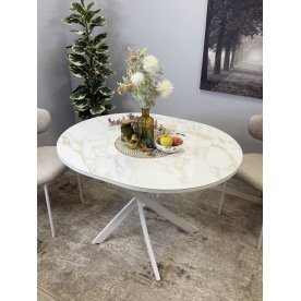 Стеклянный стол R1100s