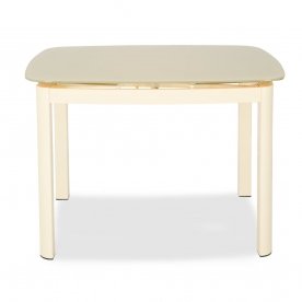 Стеклянный стол DT6236B