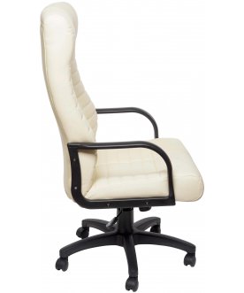Компьютерное кресло Рафаэль 1
