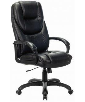 Компьютерное кресло Premium Nord EX-590