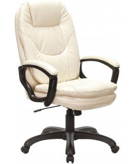 Компьютерное кресло Premium Trend EX-568 бежевый