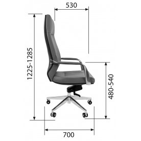 Компьютерное кресло Chairman 920