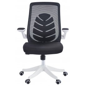 Компьютерное кресло Chairman CH565