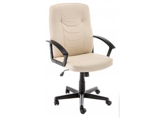 Компьютерное кресло Darin Ivory