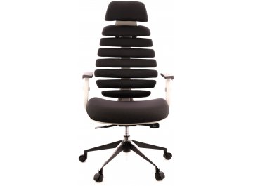 Компьютерное кресло Ergo
