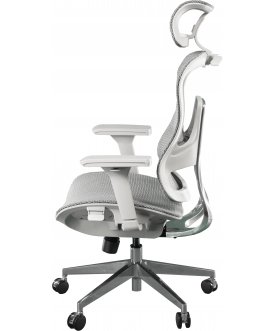 Компьютерное кресло Expert Ergo Fly