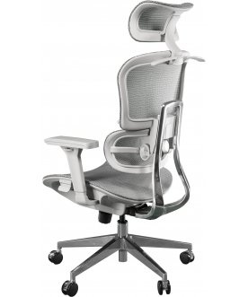 Компьютерное кресло Expert Ergo Sail