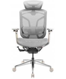 Компьютерное кресло Gt Chair Dvary X Pro