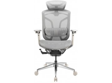 Компьютерное кресло Gt Chair Dvary X Pro