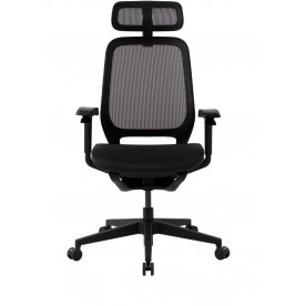 Компьютерное кресло Gt Chair Neoseat X