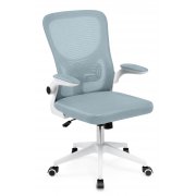 голубая сетка / белый