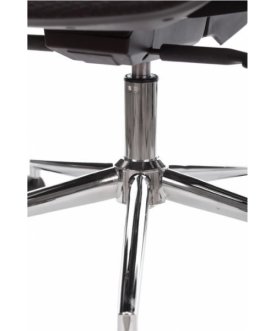 Компьютерное кресло Sirius