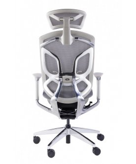 Компьютерное кресло Dvary X