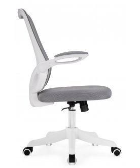 Компьютерное кресло Salem