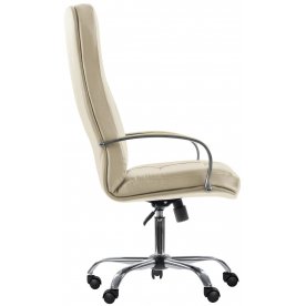 Компьютерное кресло Сенатор 2