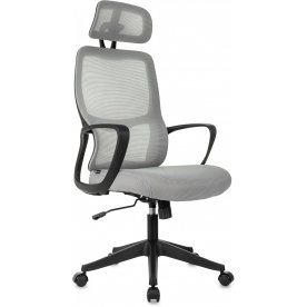 Компьютерное кресло Wise