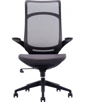 Компьютерное кресло Spirit