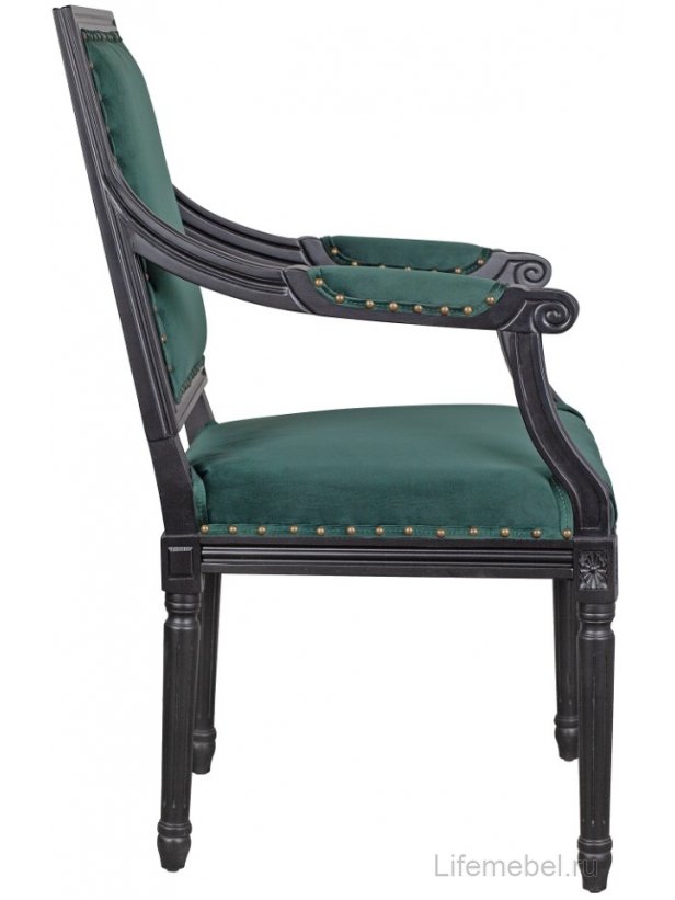 Мягкий стул с подлокотниками Runako Green