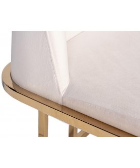 Стул на металлокаркасе GY-DC8365GOLD-CR