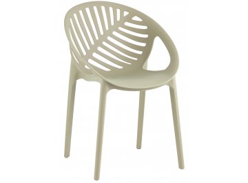 Пластиковый стул Мимоза