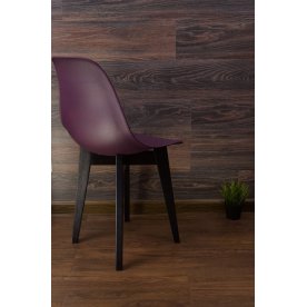 Пластиковый стул Сашш