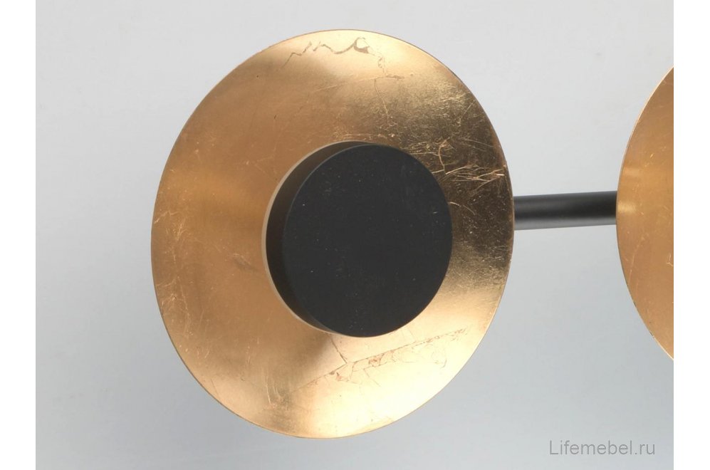 Спот Галатея 452024804