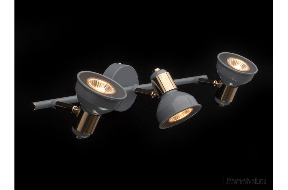 Спот Хоф 552020303