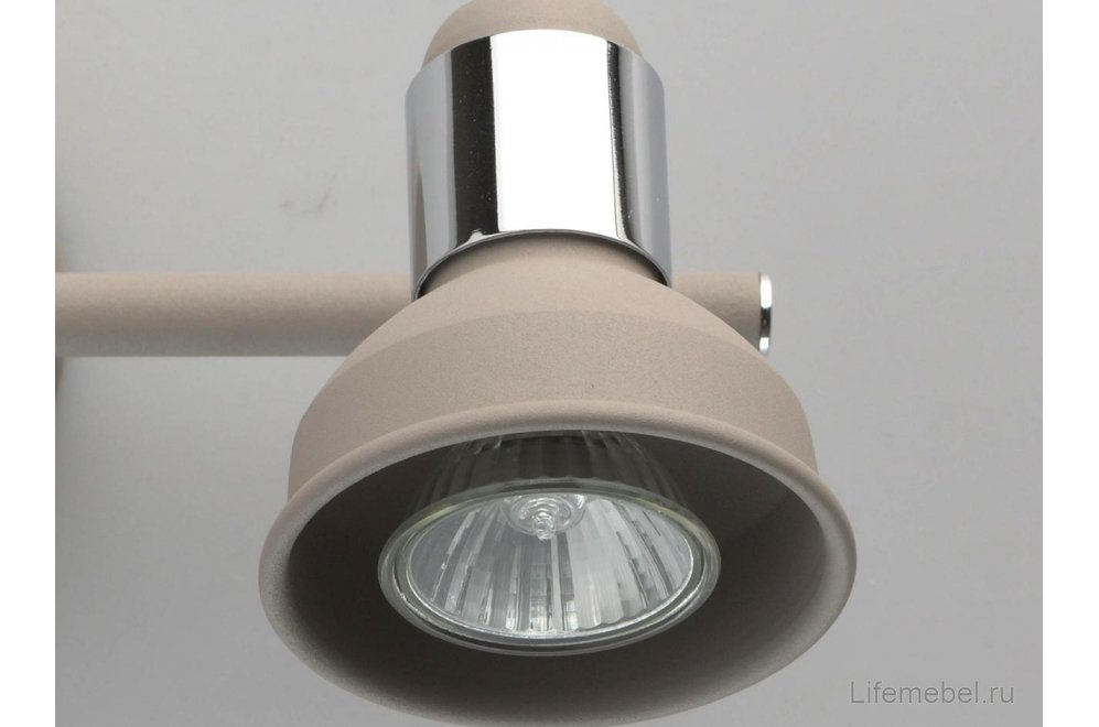 Спот Хоф 552020603