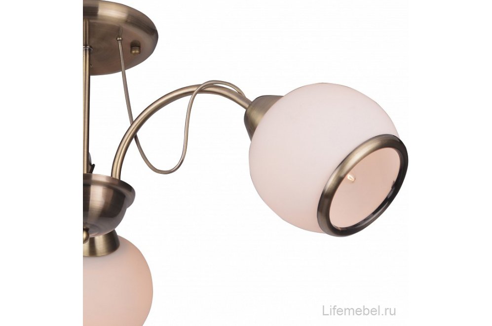 Люстра на штанге Octavia TL3760X-03AB